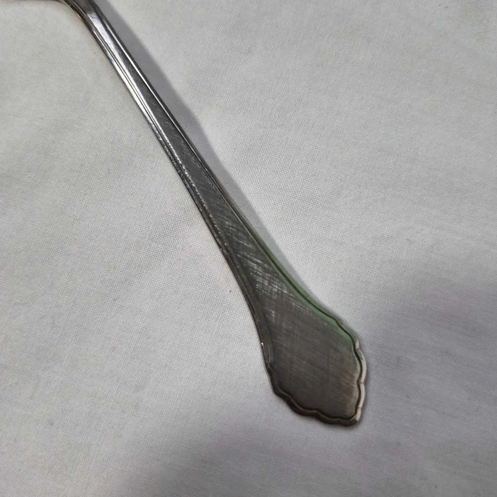 Sugar Spoon Oneida Wm A Rogers Deluxe Stainless Spoon Summer Mist Autumn Glow